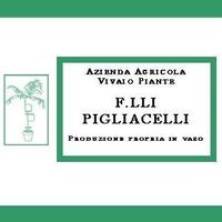 Az. agr. vivaio piante f.lli Pigliacelli